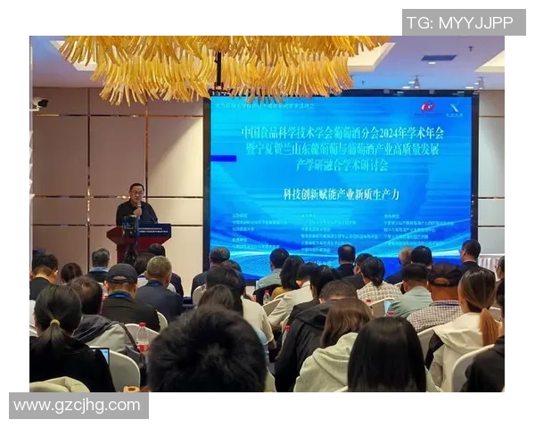 西安羽毛球队的逆袭之路与创新发展探讨