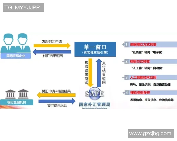 重庆飞盘队的进攻体系解析与战术创新探讨